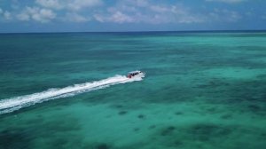 2867877-uhd_3840_2160_24fps