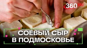 Тофу из Волоколамска - производство соевого сыра развивают в Подмосковье