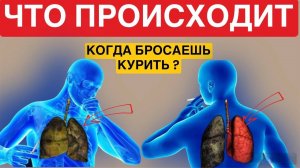 Что Происходит, когда бросают курить?