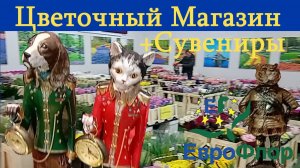Как выглядит один из самых больших цветочных магазинов. Обзор Еврофлора.