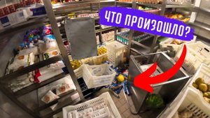 Морской Vlog  Стюард все рассказал !!!