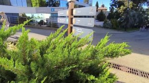 СОЧИ САНАТОРИЙ "ЗАПОЛЯРЬЕ "- ТЕРРИТОРИЯ СОЛНЦА И ВЕЧНО ЗЕЛЕНЫХ ПАЛЬМ