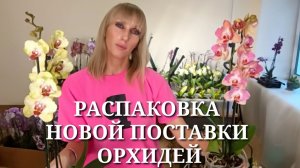 ПРООРХИДЕИ / РАСПАКОВКА / Марракеш, Калейдоскоп, Sand River, Cherry Bomb, бабочки, пелорики