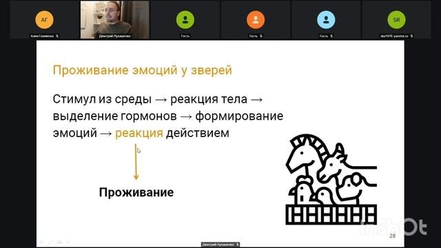 Эмоции и их проживание - основы | О психологии от психолога Дмитрия Лукашенко