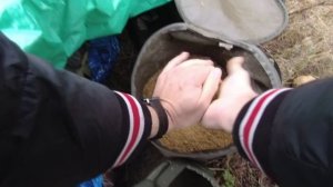 Река Айдар. Осень 2024. Поплавок.