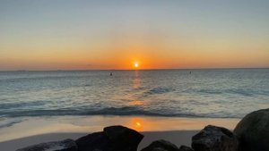 4032436-hd_1280_720_30fps