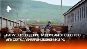 Патрушев: 10 лет продэмбарго сделали АПК драйвером экономики РФ