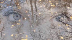 Осенний футаж. Коллаж.