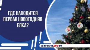 ДО НОВОГО ГОДА 56 ДНЕЙ — В СОЧИ УЖЕ УСТАНОВИЛИ НОВОГОДНЮЮ ЕЛКУ!