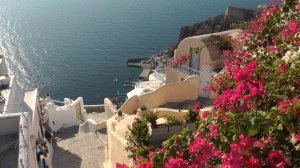 1251507-hd_1920_1080_25fps