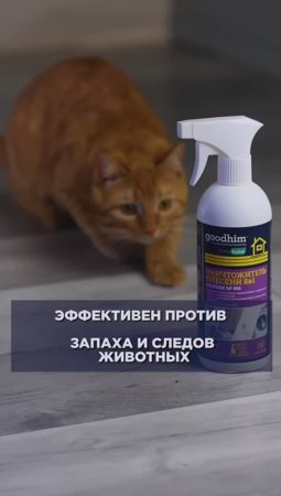 Средство от плесени GOODHIM AP650