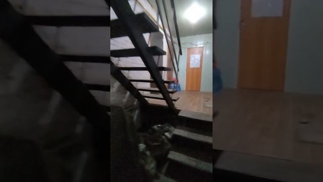 авито юра