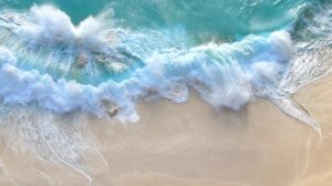 4662765-hd_1920_1080_25fps