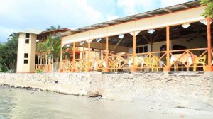 1481914-hd_1920_1080_24fps