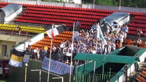 2013/14. Тур 35. Торпедо - Строгино. Фанаты Торпедо и гармонь