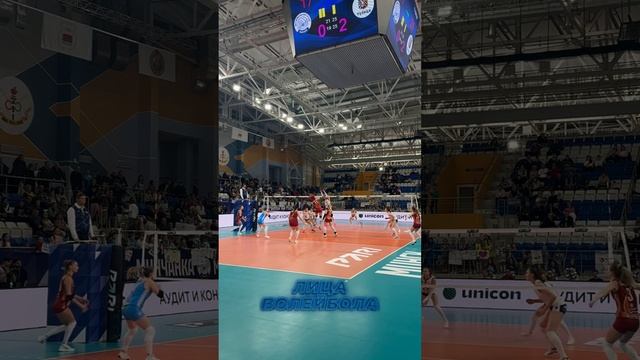 «ТУЛИЦА» ПОБЕЖДАЕТ В МИНСКЕ 3:0 #shorts #лицаволейбола #волейбол #volleyball #rusvolley #volleyru