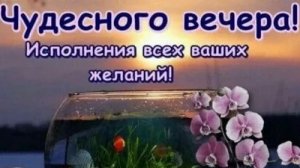 Чудесного вечера!