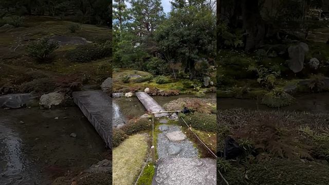 ✨ Murin-an garden, Kyoto, Japan