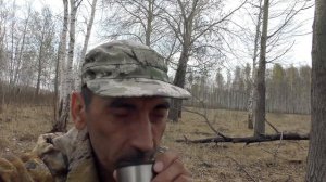 В ДИКОМ, ДРЕМУЧЕМ ЛЕСУ нашёл ГНЕЗДО СОВЫ