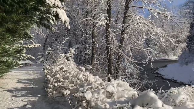 Зимняя сказка/ Winter Fairy tale
