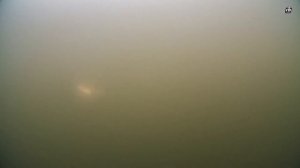 Новые щучьи блесны-незацепляйки от компании "RB"-Щучара, Панча и Klu-Kva.