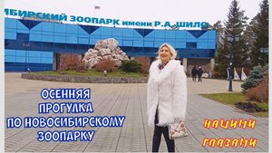 Прогулка по Новосибирскому зоопарку. Кормим зверушек. Медвежонок делает гимнастику