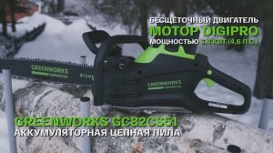 Аккумуляторная пила Greenworks GD82CS51