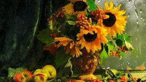 Осенний футаж. Подсолнухи на окне.