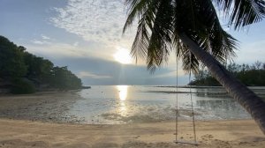 4494772-hd_1920_1080_30fps