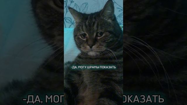 А вы так рисковали? #юмор #прикол #блогер