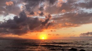 4514395-hd_1920_1080_30fps