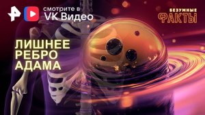 Лишнее ребро Адама — Безумные факты (06.11.2024)