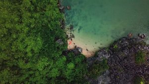 3784031-hd_1920_1080_24fps