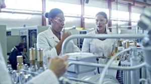 Биомиметика: Чья это заслуга?