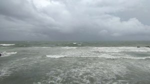 5009934-hd_1920_1080_30fps