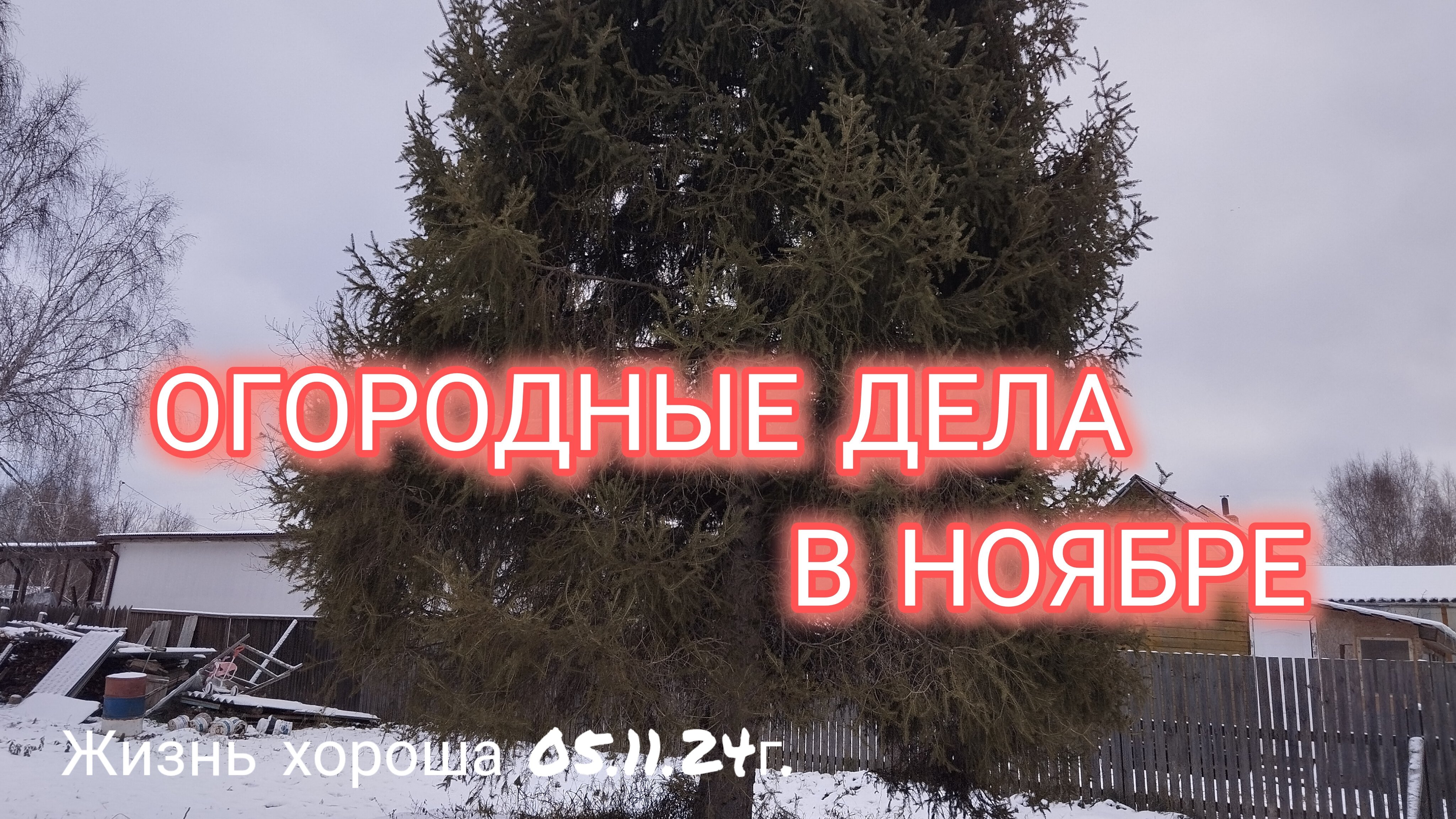 ОГОРОДНЫЕ ДЕЛА В НОЯБРЕ/ ЖИЗНЬ В ДЕРЕВНЕ/ ЖИЗНЬ ХОРОША 05.11.24г.
