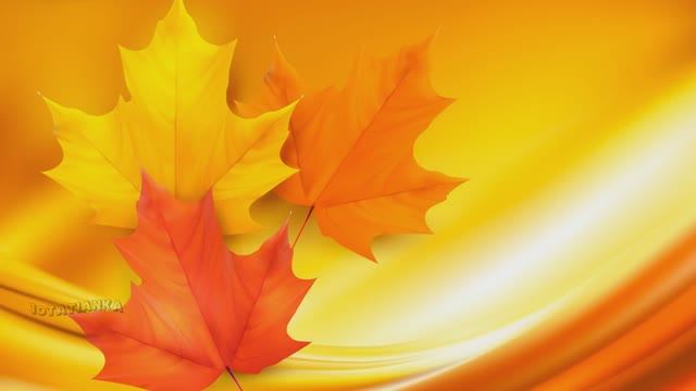 Доброе осеннее утро! Чудесного дня! 🍂🍂🍂 смотреть онлайн