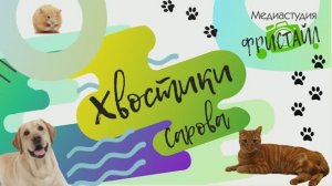 Хвостики Сарова