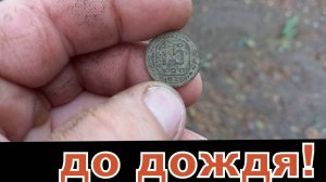 Покопал до дождя! Не без находок!