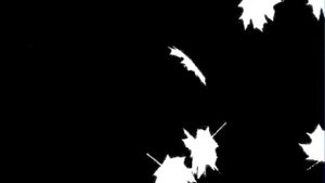 Маска к футажу Падающие листья