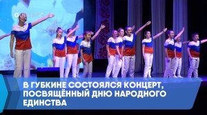 В Губкине состоялся концерт, посвящённый Дню народного единства