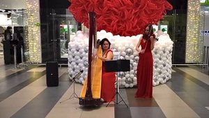 Молитва -Би-2( дуэт скрипка и арфа)