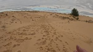 Archeda desert adventure 2024