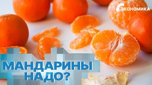 Экспорт мандаринов из Грузии резко увеличился | Вместе выгодно