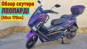 Обзор СКУТЕРА ЛЕОПАРД!!! (50сс 170сс )