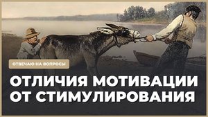 Стимул и мотивация: что это такое и в чем различия?