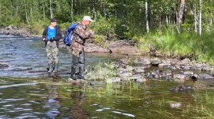 Форель на Новой речке.