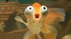 Телескоп (01.02.2006)