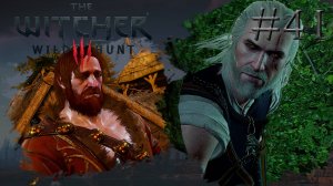 В ПОИСКАХ АН КРАЙТА МЛАДШЕГО | Ведьмак 3: Дикая Охота (The Witcher 3: Wild Hunt) #41