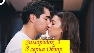 Зимородок 3 Серия 8 Обзор - пересказ